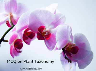 MCQ on Plant Taxonomy - Family