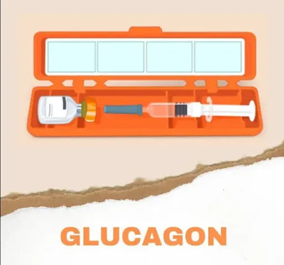 Como funciona el glucagon