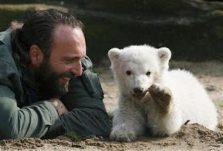 Baby Knut polar bear with foster father, Thomas Dörflein