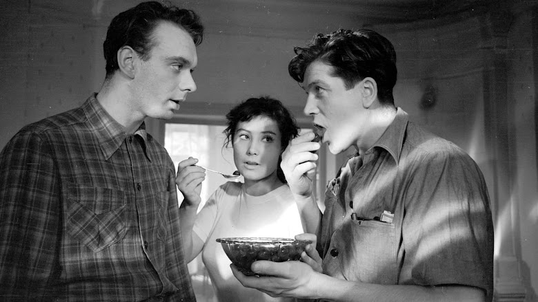 Cuándo pasan las cigüeñas 1957 castellano online