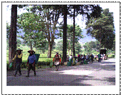 clip_image002 clip_image002