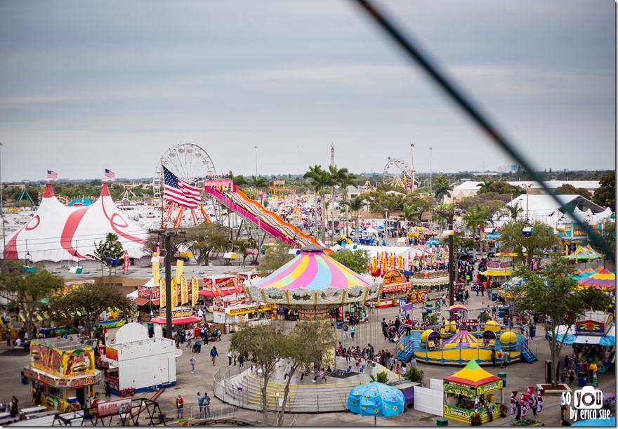 The Fair Dade County Youth Fair-2780