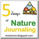 naturejournaling_thumb1