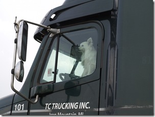 A doggie Truckdriver, just outside Nashville.