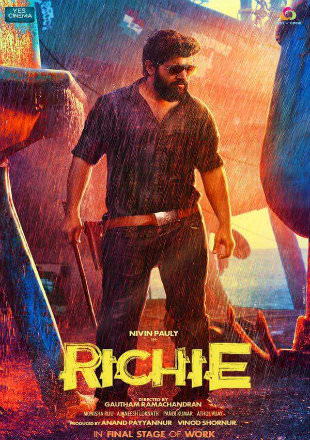 Richie 2017 Hindi Dubbed Movie Download HDRip 720p Dual Audio ESub UNCUT