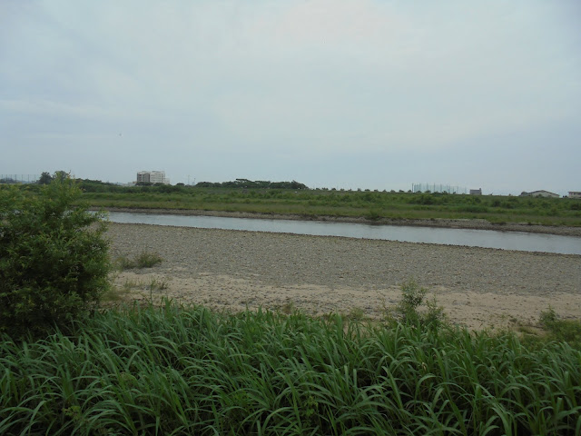 日野川の対岸方面を望む