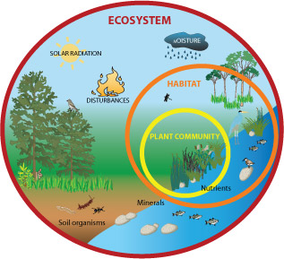 Ecological Concern: Different Types of Ecosystems Found on 