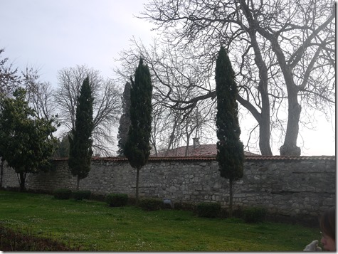 P1180368