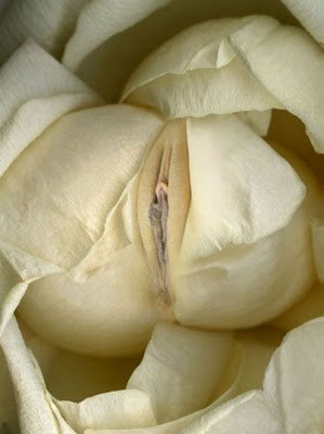 Erotic Vagina Flower