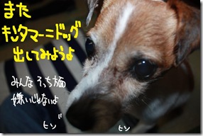 今日カズ１００５２８　４
