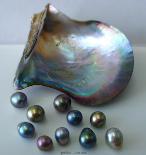 雙色珍珠和彩虹色珍珠,稀有而晶瑩光潔的彩虹色澤。特有的珍珠層小晶體衍射出的珠光,猶如彩虹在珍珠表面上移動