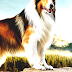Lassie - Lassie Dog