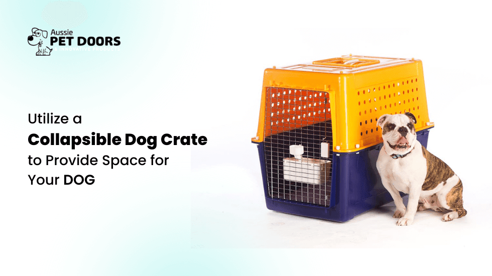 Collapsible Dog Crate