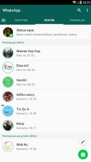 cara untuk melihat status teman di whatsapp tanpa ketahuan