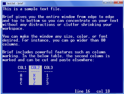 Disk Operting System {DOS}