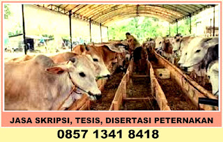 Jasa Tesis Peternakan Kilat di Cipayung, Jаkаrtа Timur