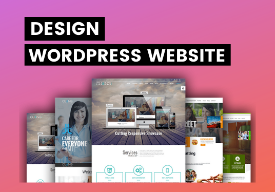 Wordpress Website Design Agency Sahiwal