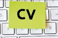 Comment ajuster son CV à chaque offre d'emploi