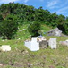 View album