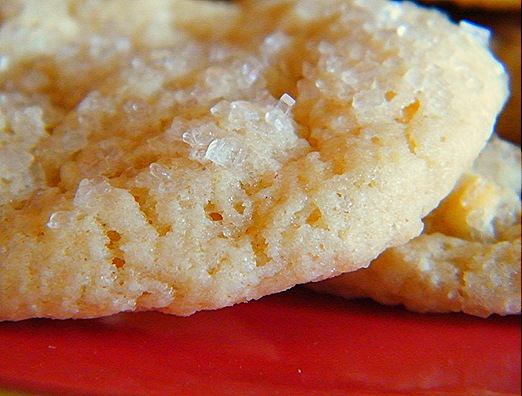2010_0831ricottacookies0030