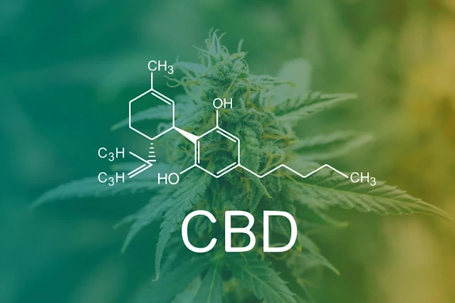 Cannabidiol, Everything you Need to Know