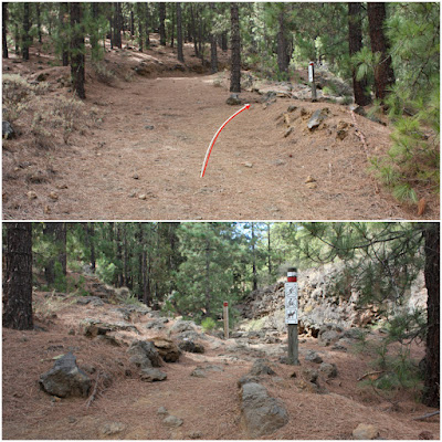 GR - 131 TRAMO 4 ÁREA RECREATIVA DE LA CALDERA (AGUAMANSA - LA OROTAVA) AL PORTILLO (CENTRO DE VISITANTES), sendero GR-131 pasada la Pista Km-26 y antes del Barranco de los Cochinos