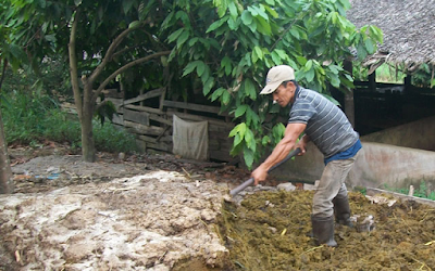  Apa  Itu  Metode Ramah Lingkungan dalam Pengelolaan Limbah  