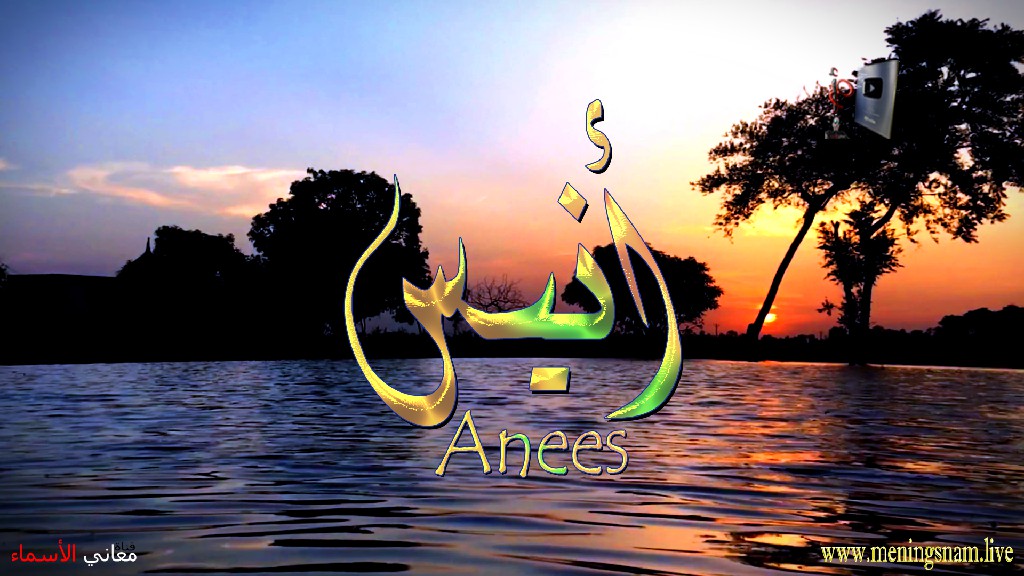 معنى اسم, انيس, وصفات, حامل, هذا الاسم, Anees,