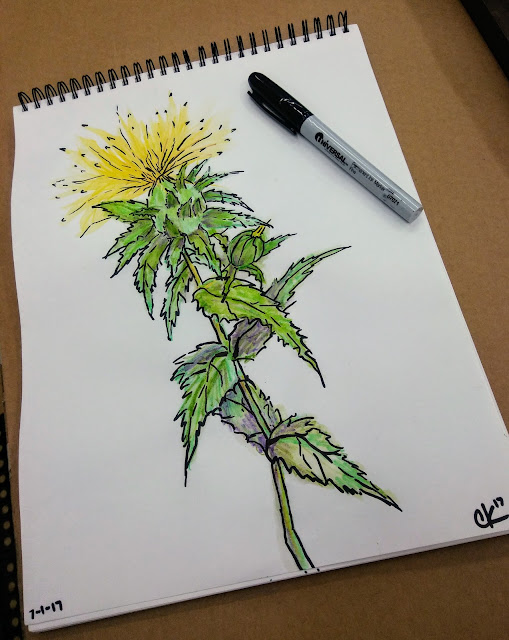watercolor painting of a spiky yellow wildflower