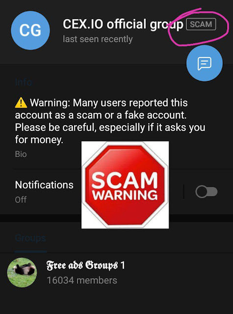 Scammer being flagged by Telegram