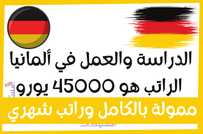 الدراسة والعمل في ألمانيا | منحة IU | الراتب المبدئي هو 45000 يورو