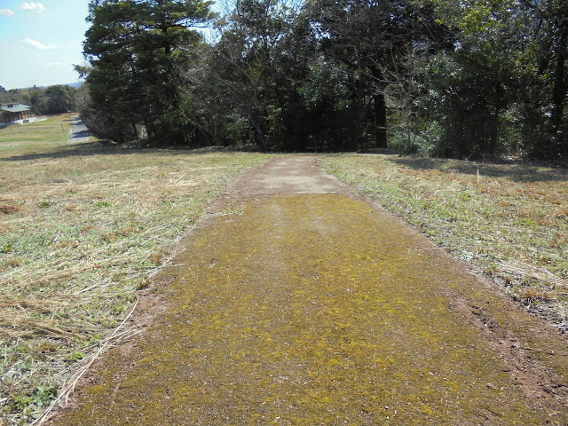 弥生の森遊歩道