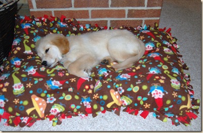 fleece dog bed