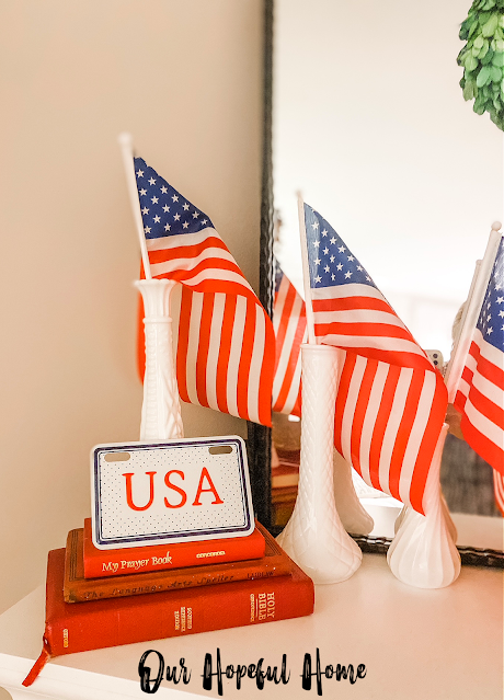 mini USA bike license plate patriotic decor