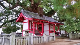 人文研究見聞録：四国八十八ヶ所75番札所 五岳山善通寺 ［香川県］