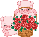 Gif de porquinho