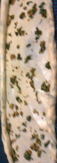 Ispanaklı sofra bezi böreği tarifi-Ispanaklı sofra bezi böreği nasıl yapılır?