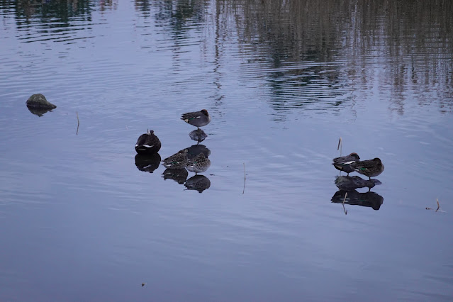 鳥取県米子市両三柳 弓ヶ浜公園