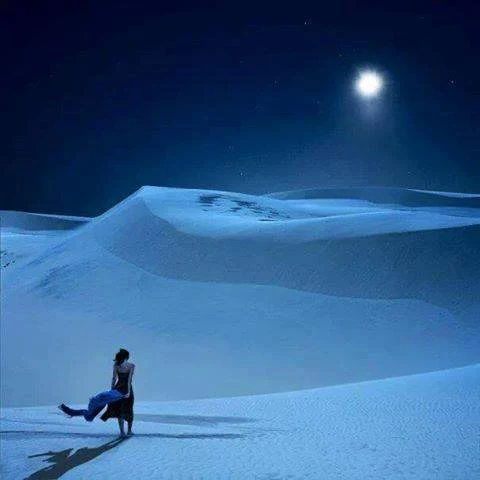 محسن وه میری نظروں سے اوجھل ہوا نا جب سورج تھا میرے سر پہ مگر رات ہو گئی