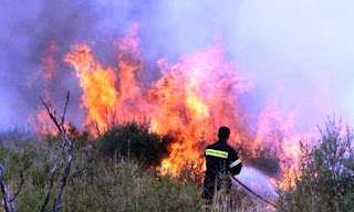 Υπό έλεγχο η πυρκαγιά στην περιοχή Ωραία του δήμου Ηλιδας