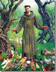 francisco_terra_animais