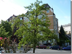 P1020733