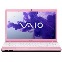 Sony VAIO VPCEG33FX/P