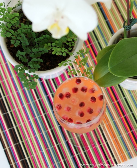 Pomegranate Mini Ice Cubes via homework |  carolynshomework 
