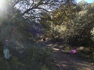 Barranco de La Cerrada