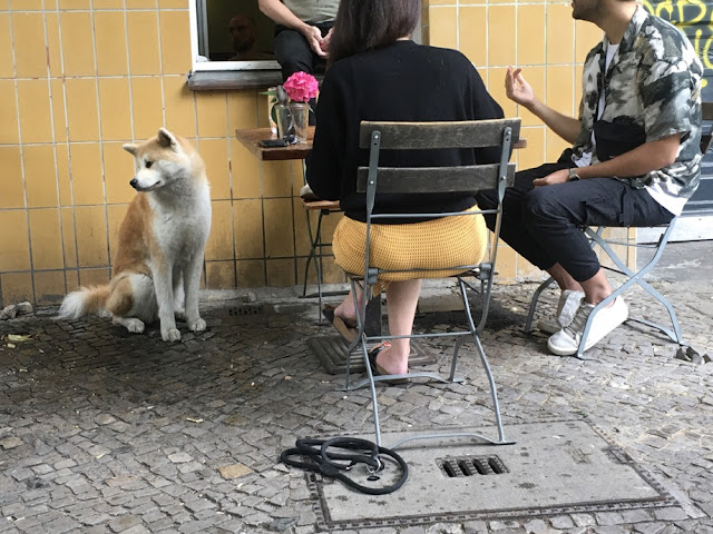 Menschen im Gespräch vor gelber Wand. Ein Hund langweilt sich dabei