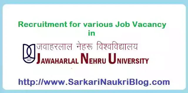 Sarkari Naukri Vacancy Recruitment in JNU Delhi