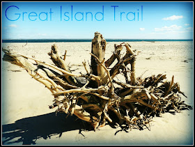 Great Island Trail: Playa