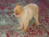 20051023-2.jpg