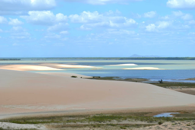 Brésil, Jericoacoara, buggy, hippocampe, dune, tatajuba, mangue seco
